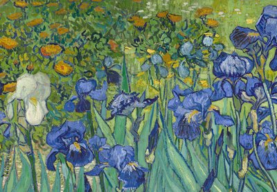 Irises, 1889 (detail) by Vincent van Gogh